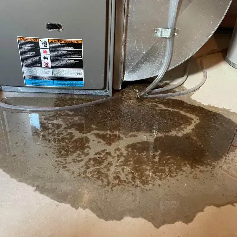 Appliance Leak Cleanup in Ocean Springs, MS